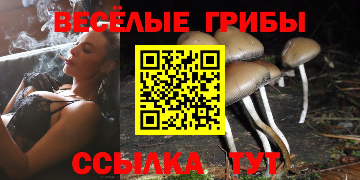 Осинники  Псилоцибиновые грибы MAGIC MUSHROOMS  Вход с VPN 