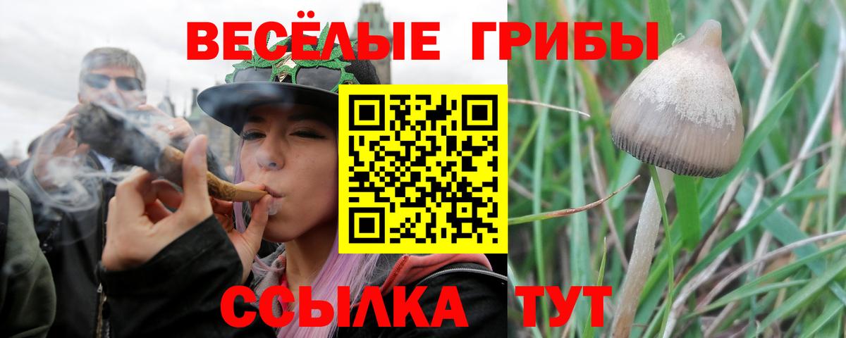 Галлюциногенные грибы Magic Shrooms Осинники